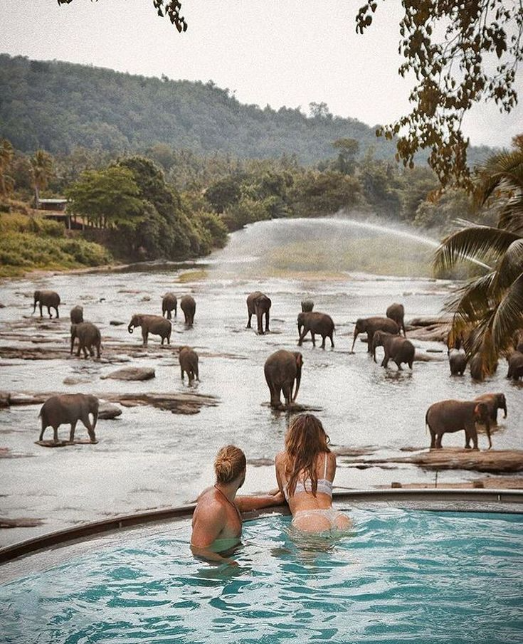 12 Epic Things To Do In Sri Lanka _ Wildest