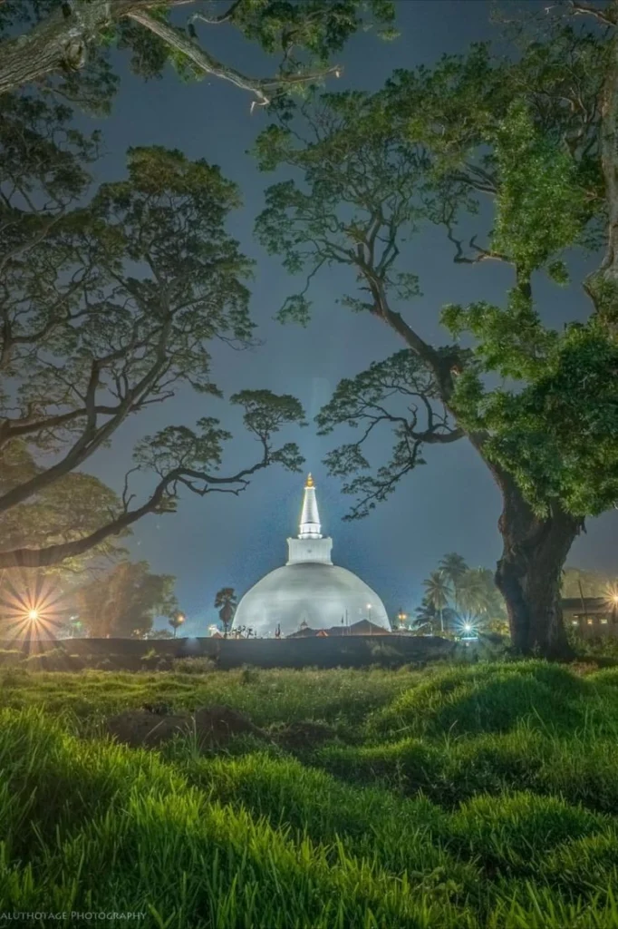 best tours in Sri Lanka