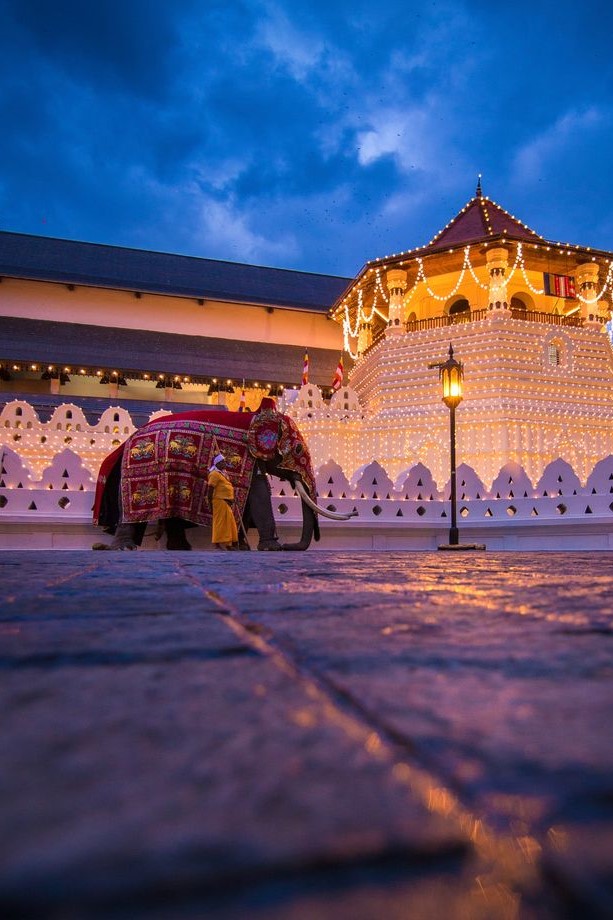 best tours in Sri Lanka