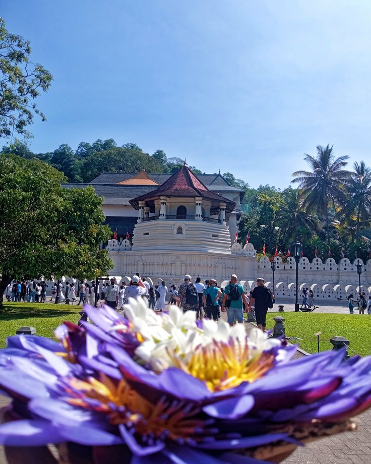 Sri Dalada Maligawa, Sri Lanka