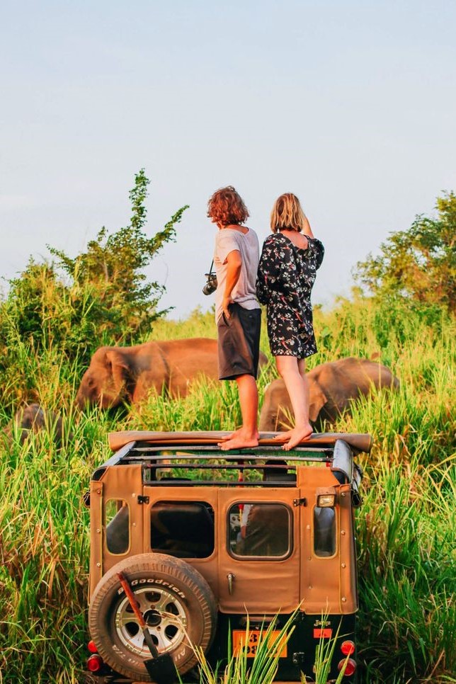 best tours in Sri Lanka