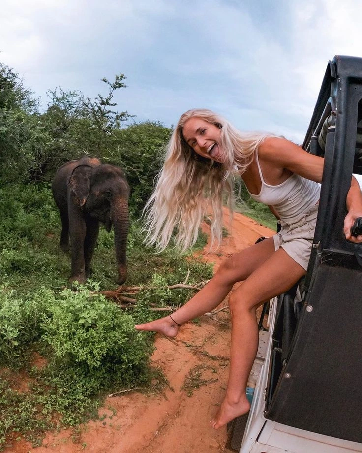 wildlife paradise Words -Yala National Park